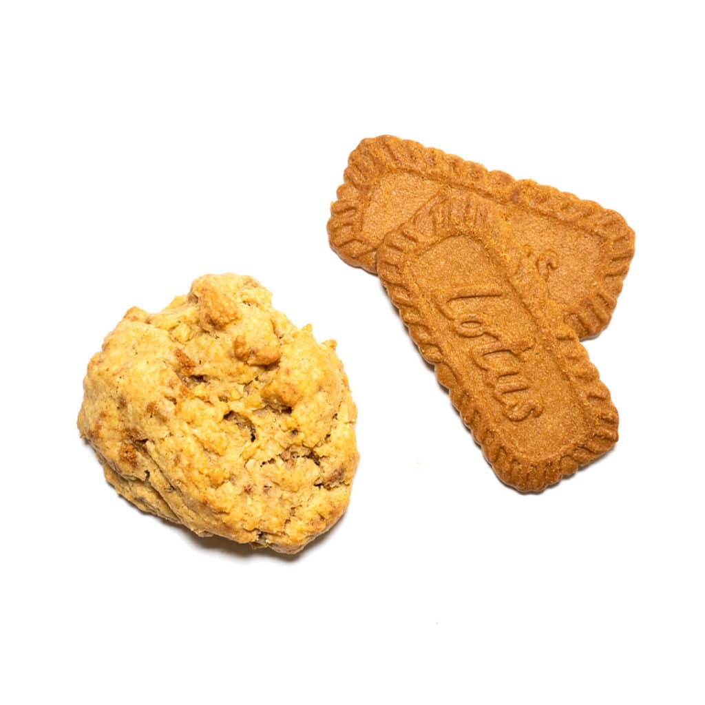 cookie_detourage_0065s_0000_Speculos